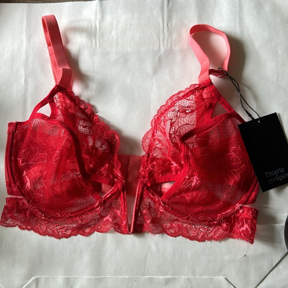 Thistle & Spire Kane V-Wire Lace Bra, Size 34E (34dd), Color: Chilli (red) - Picture 5 of 10